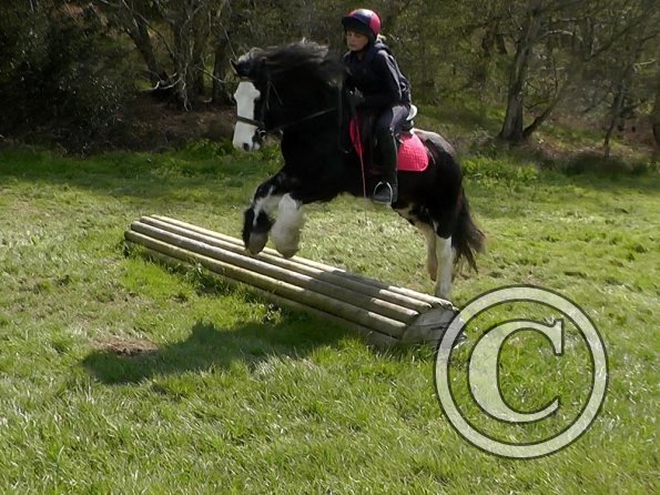 Mischa and Storm XC Comphurst (13)