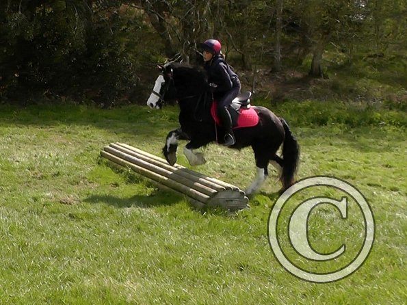 Mischa and Storm XC Comphurst (14)