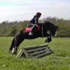 Mischa and Storm XC Comphurst (15)