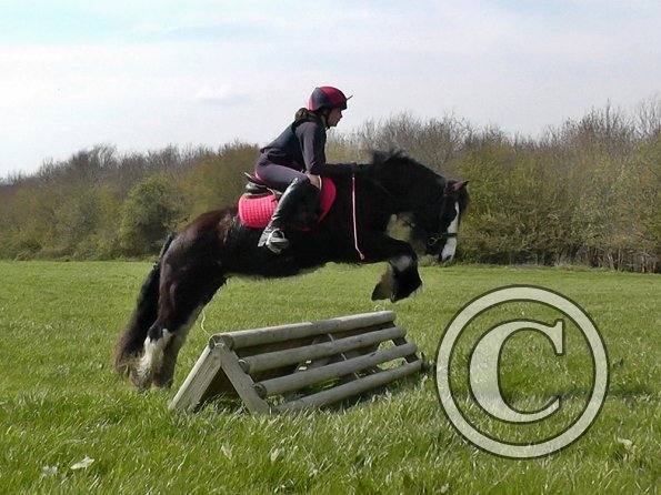Mischa and Storm XC Comphurst (15)