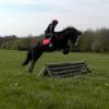 Mischa and Storm XC Comphurst (16)