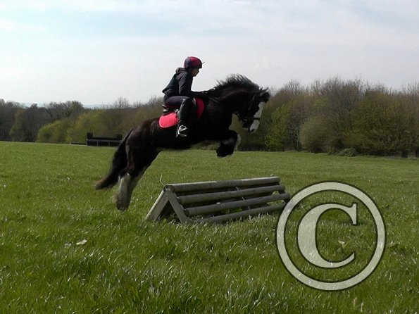 Mischa and Storm XC Comphurst (16)