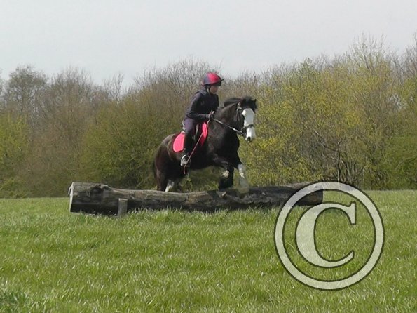Mischa and Storm XC Comphurst (18)
