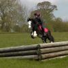 Mischa and Storm XC Comphurst (19)