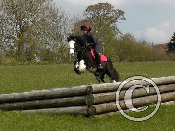 Mischa and Storm XC Comphurst (19)