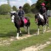 Mischa and Storm XC Comphurst (2)