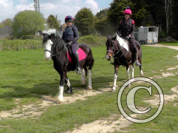 Mischa and Storm XC Comphurst (2)