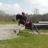 Mischa and Storm XC Comphurst (20)