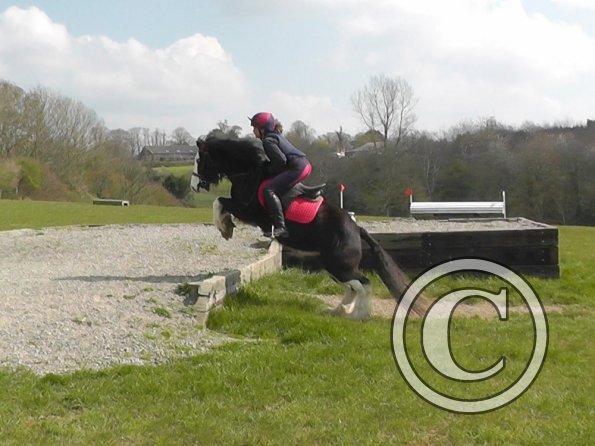 Mischa and Storm XC Comphurst (20)