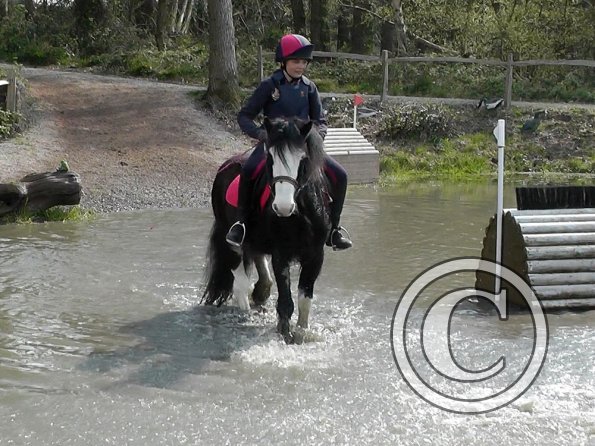 Mischa and Storm XC Comphurst (22)