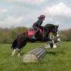 Mischa and Storm XC Comphurst (23)