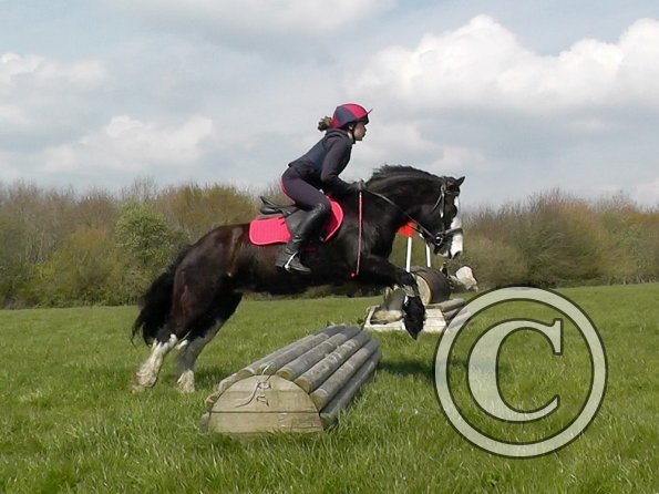 Mischa and Storm XC Comphurst (23)