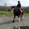Mischa and Storm XC Comphurst (5)