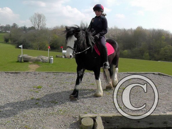 Mischa and Storm XC Comphurst (5)