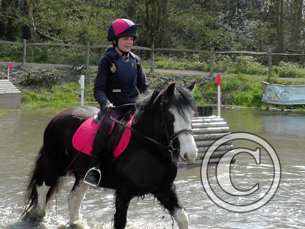 Mischa and Storm XC Comphurst (6)