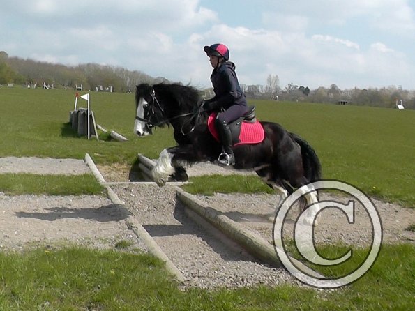 Mischa and Storm XC Comphurst (7)
