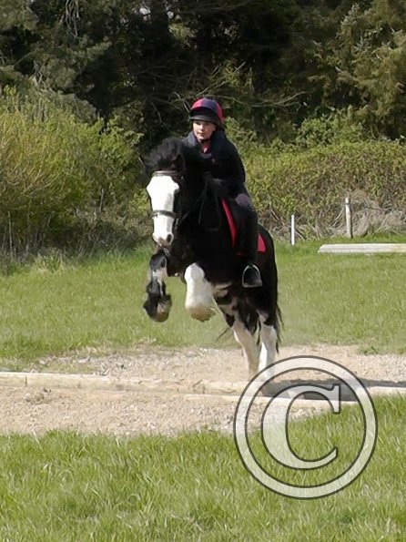 Mischa and Storm XC Comphurst (8)