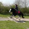 Mischa and Storm XC Comphurst (9)
