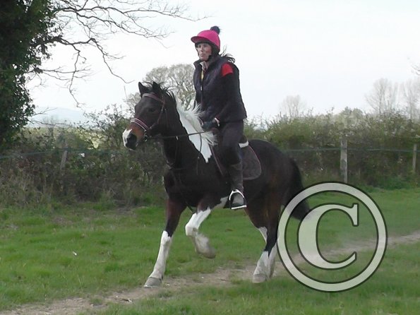 Trish and Mia XC Comphurst (1)