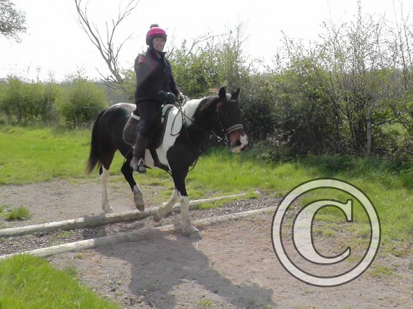 Trish and Mia XC Comphurst (13)
