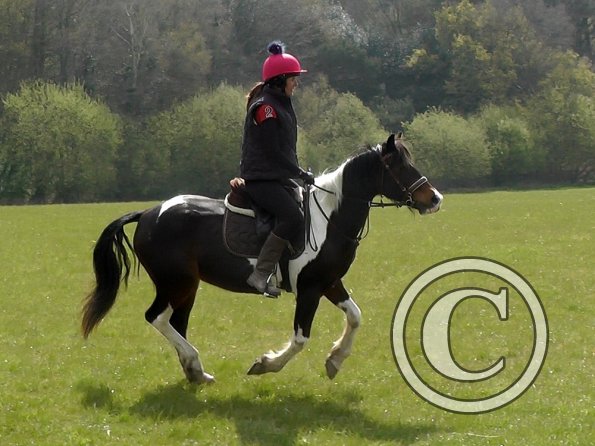 Trish and Mia XC Comphurst (15)