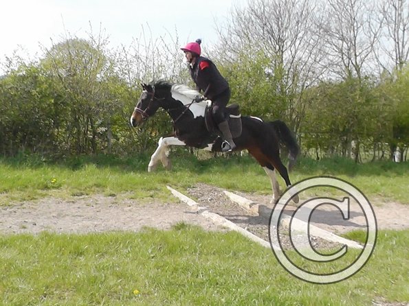 Trish and Mia XC Comphurst (4)