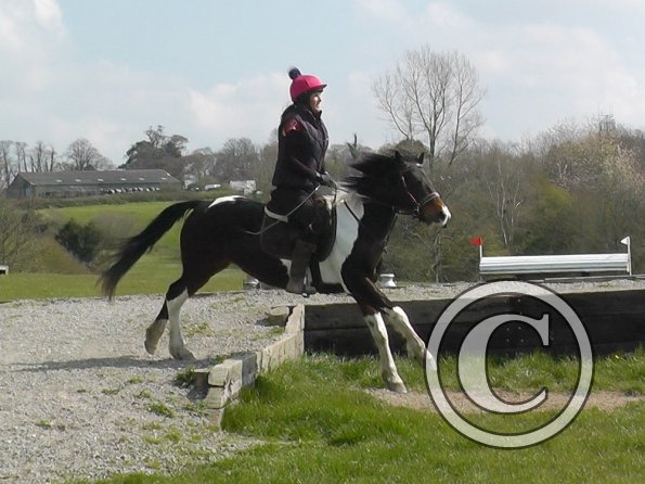 Trish and Mia XC Comphurst (5)