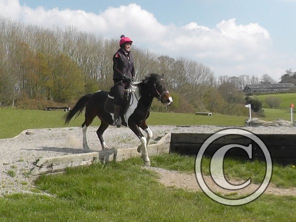 Trish and Mia XC Comphurst (6)