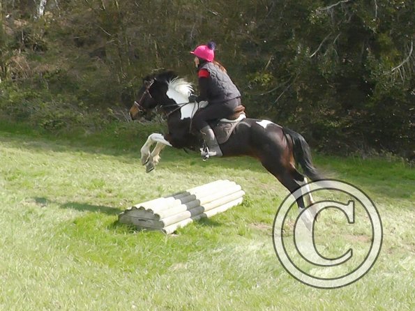 Trish and Mia XC Comphurst (7)