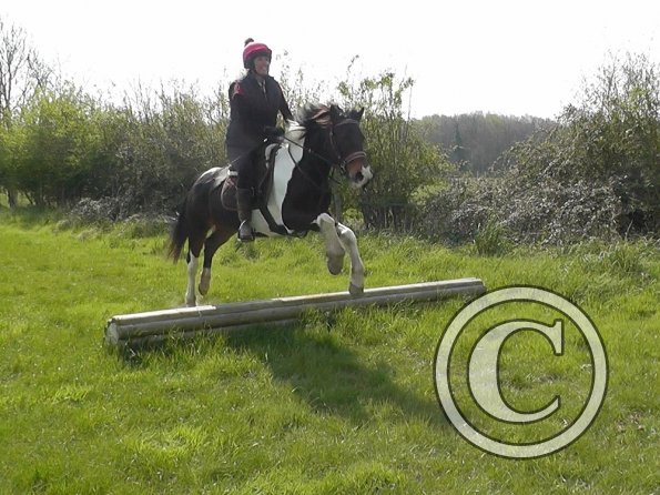 Trish and Mia XC Comphurst (8)