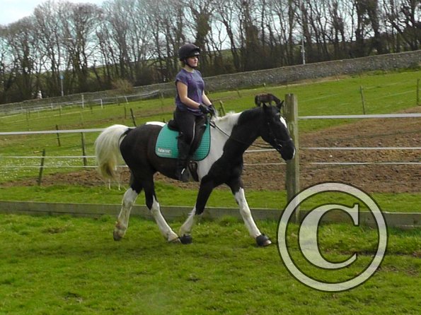 Jade and JD schooling (1)