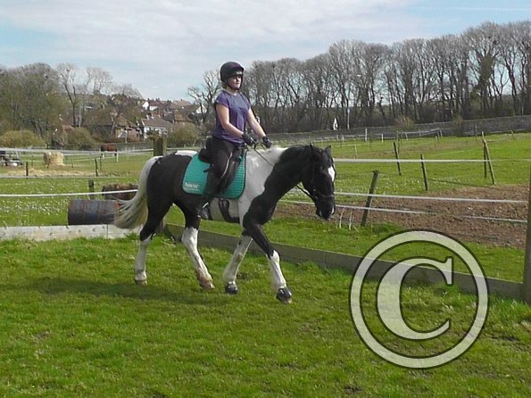 Jade and JD schooling (10)