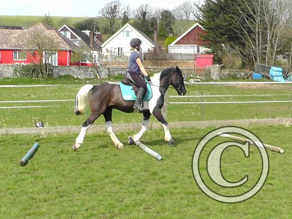 Jade and JD schooling (11)