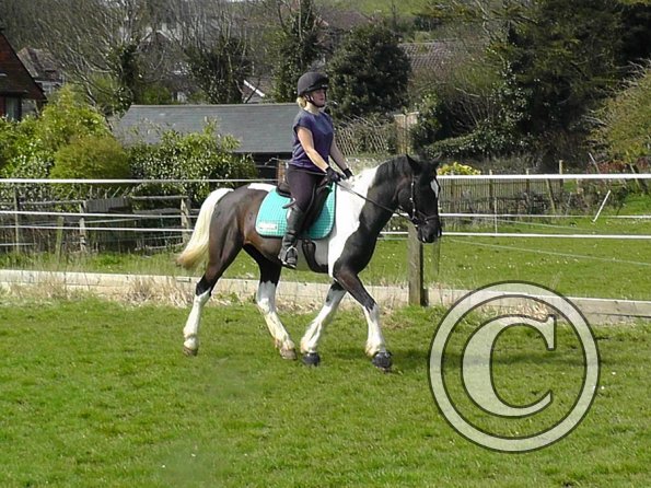 Jade and JD schooling (12)