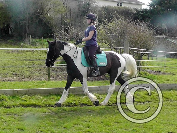 Jade and JD schooling (13)