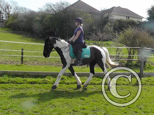 Jade and JD schooling (14)