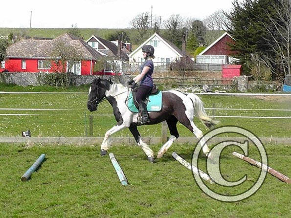 Jade and JD schooling (15)