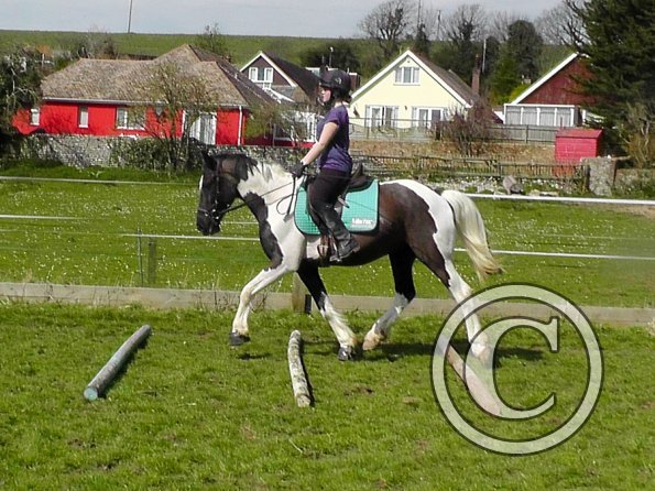Jade and JD schooling (16)