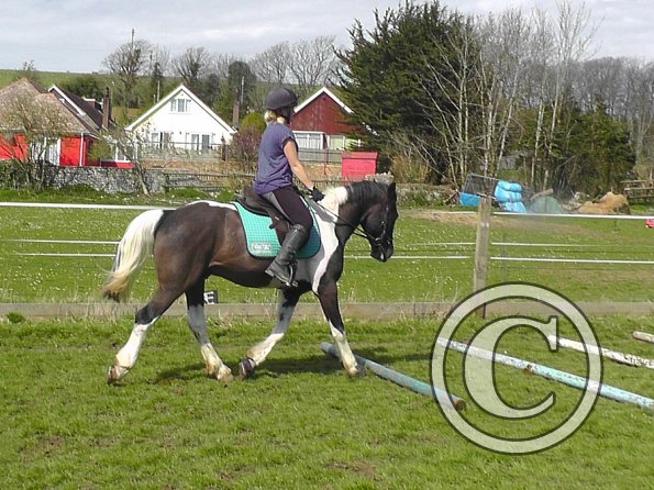 Jade and JD schooling (17)