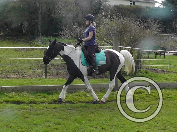 Jade and JD schooling (2)