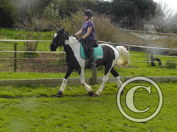 Jade and JD schooling (3)