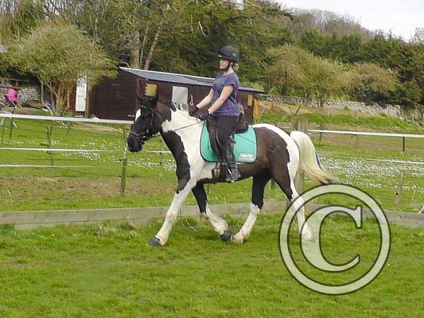 Jade and JD schooling (4)