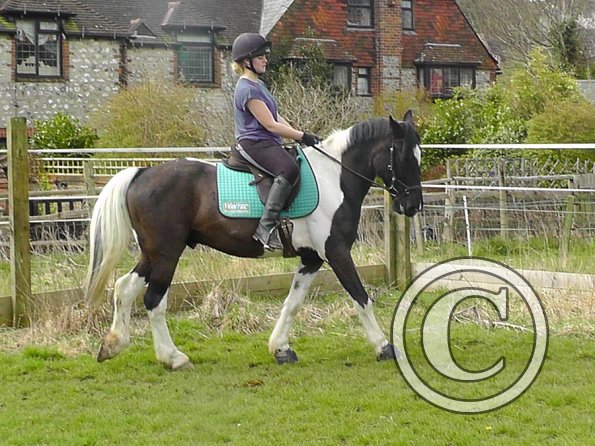 Jade and JD schooling (6)