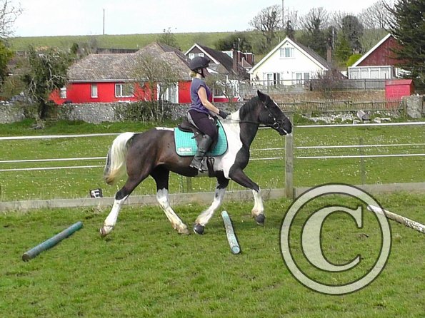 Jade and JD schooling (7)