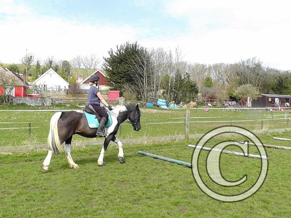 Jade and JD schooling (8)