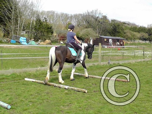 Jade and JD schooling (9)