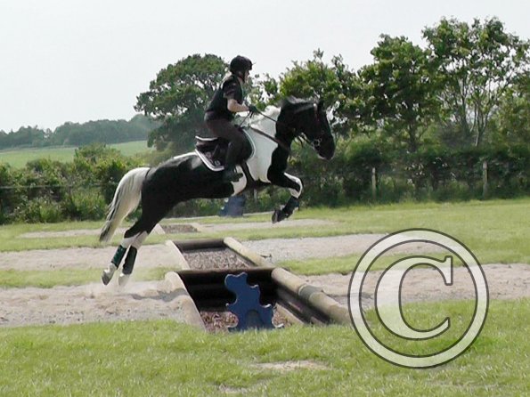 06-05-2016_120617(1)