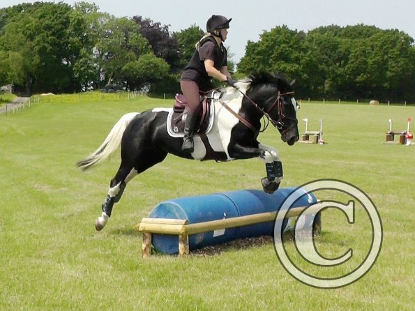 06-05-2016_121503 - Copy