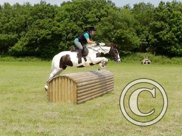 06-05-2016_121728(1)