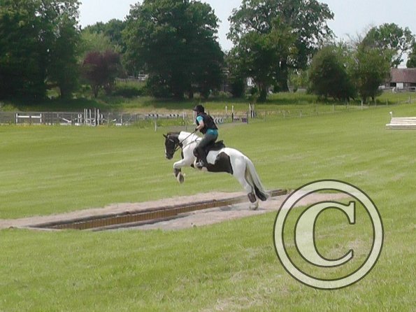 06-05-2016_124101(1)